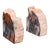 Pair of Prehistoric Large Volume Bookends, Petrified Wood, Book Rest, Geological For Sale