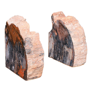Pair of Prehistoric Large Volume Bookends, Petrified Wood, Book Rest, Geological