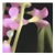 Kirill Chudinskiy, Floral Form, Metal Print For Sale