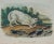 This is an original 19th century John James Audubon hand-colored quadruped lithograph entitled "White American Wolf", No....