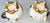 Late 19th Century Moore Bros Porcelain Cactutus Flower Vases, Set of 4 For Sale - Image 12 of 13