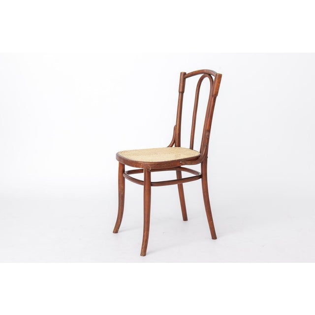 Antique Austrian Bentwood Chair in Rattan in the Style of Thonet No. 56, 1930s For Sale - Image 14 of 14
