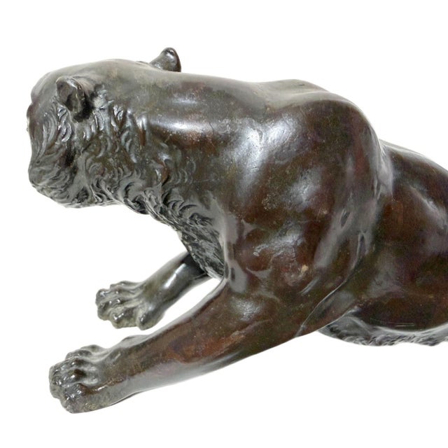 Metal Antique 19th Century Japanese Meiji Okimono Bronze Tiger Sculpture - Signed For Sale - Image 7 of 12