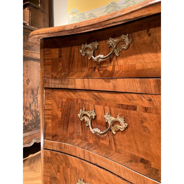 Wood Antique Louis XV Rococo Italian Commode with Curved Chest of Drawers in Inlaid Walnut, Tuscany, 1700s For Sale - Image 7 of 14
