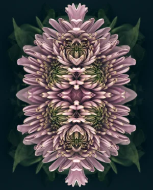 "Nocturnal No. 01" Contemporary Original Abstract Botanical Photograph by Erin Derby