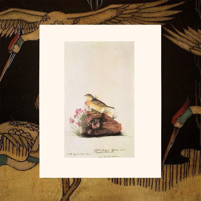 1966 Vintage Farmhouse Cottage Print "Yellow-Winged Sparrow" After John James Audubon For Sale In Dallas - Image 6 of 7