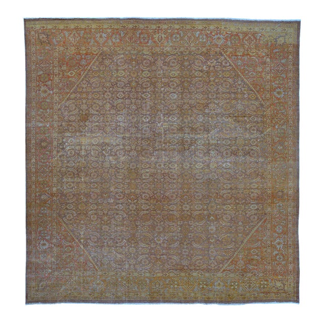 Antique Mahal Rug, 13'7'' X 14'2'' For Sale