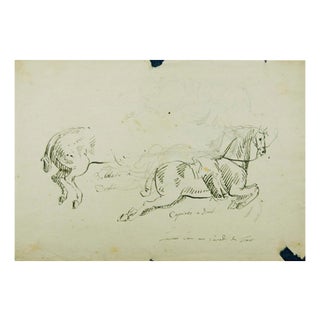 Jan Peeter Verdussen, Horse's Study, 1740s, Mixed Media on Paper For Sale