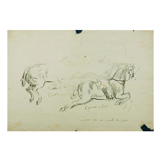 Jan Peeter Verdussen, Horse's Study, 1740s, Mixed Media on Paper For Sale