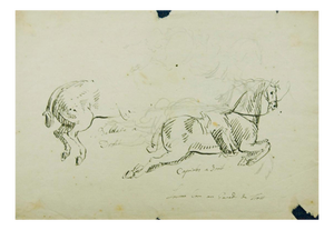 Jan Peeter Verdussen, Horse's Study, 1740s, Mixed Media on Paper