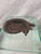 Early 20th Century Antique Resting Fox Iron Doorstop For Sale - Image 5 of 5