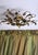 Vintage Italian Florentine Style Gilt Wrought Iron Flush Mount Ceiling Light For Sale - Image 17 of 18