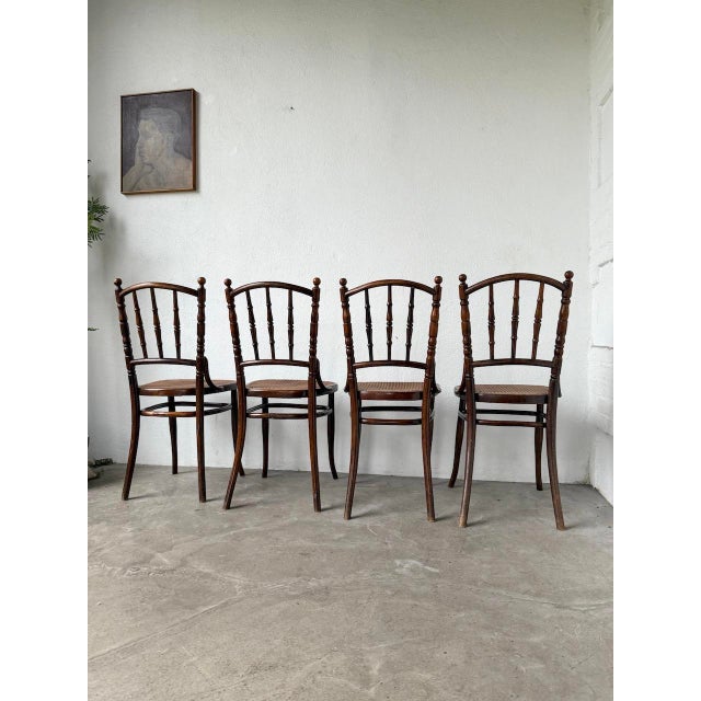 Cane Bistro Chairs from Fischel, 1950s, Set of 4 For Sale - Image 17 of 18