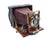 Antique 19th Century Mahogany & Brass Pony Premo B by Rochester Optical Co. Folding Camera With Red Bellows For Sale - Image 4 of 12