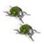 Add a dash of whimsy to your table or shelf decor with the Decorative Green Ladybug Figurines. This set of two features...