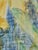 Unknown Artist, Yellow Daffodils, Mixed Media on Paper, Framed For Sale - Image 6 of 7
