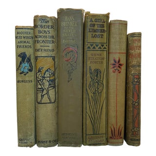 Brown Vintage Fiction Book Set - 6 Pieces For Sale