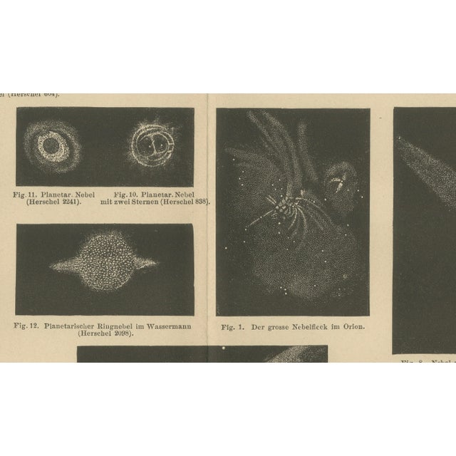 Antique Cosmos Study of Nebulae Nebelflecke, 1890s For Sale - Image 4 of 9