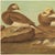Farmhouse 1966 Long-Tailed Ducks After John J. Audubon, XL Cottage Print For Sale - Image 3 of 9