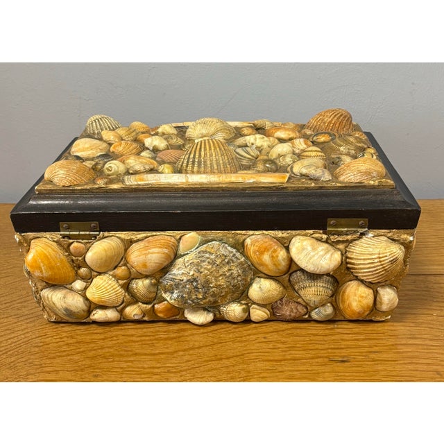 English Vintage English Seashell Box For Sale - Image 3 of 7