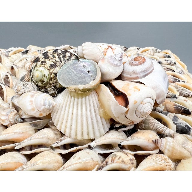 Vintage Coastal Seashell Covered Shell Encrusted Box – Coastal / Tropical For Sale - Image 12 of 18