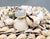 Vintage Coastal Seashell Covered Shell Encrusted Box – Coastal / Tropical For Sale - Image 12 of 18