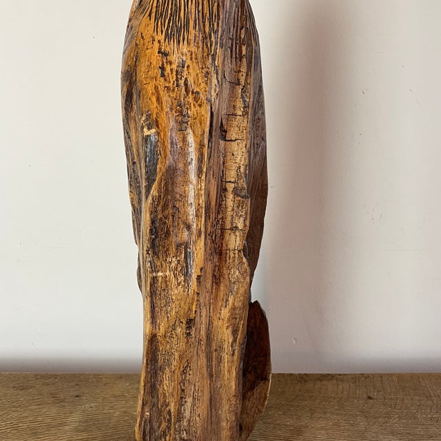 Folk Art Naïve Sculpture in Root Wood, 1800s For Sale - Image 4 of 16