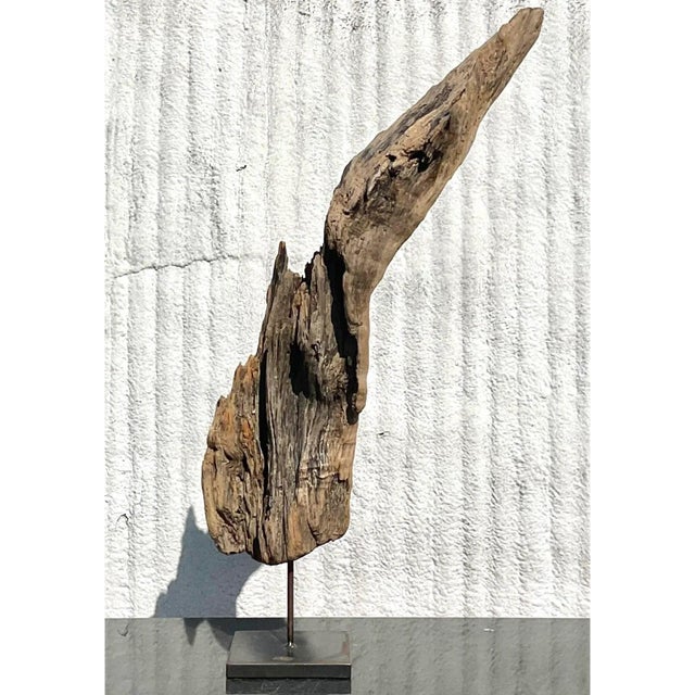 Late 20th Century Driftwood Sculpture on Steel Plinth For Sale - Image 10 of 13