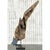 Late 20th Century Driftwood Sculpture on Steel Plinth For Sale - Image 10 of 13