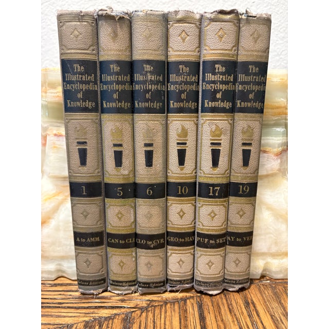 Introduce a layer of calm, structural symmetry to your design vignette with this curated 6-book stack of vintage...