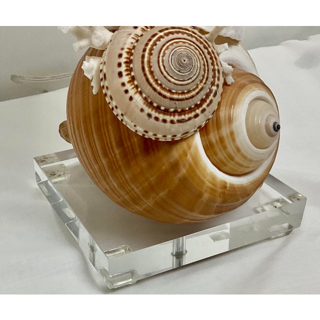Hollywood Regency Natural Shell Lamps With Linen Shades - Pair | Chairish