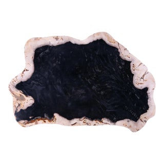 Hand Cut & Polished Petrified Wood Board For Sale