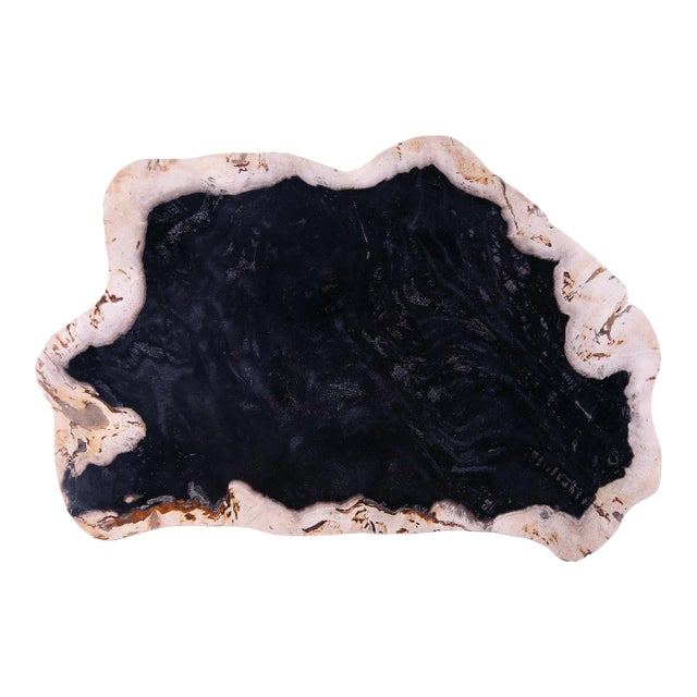 Hand Cut & Polished Petrified Wood Board For Sale