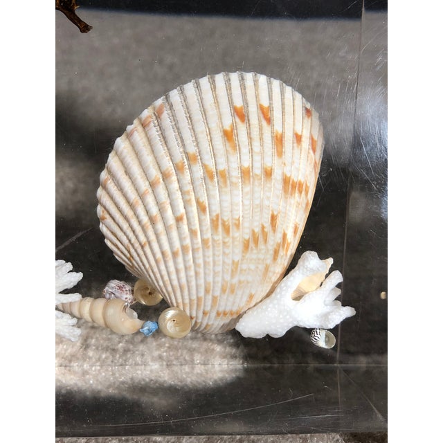 Mid 20th Century Pair of Whimsical Clear Bookends With Seashells and Seahorse For Sale - Image 9 of 12