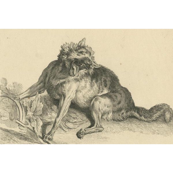 After Jean-Baptiste Oudry, Trapped Wolf, Etching, 1740 For Sale - Image 6 of 7