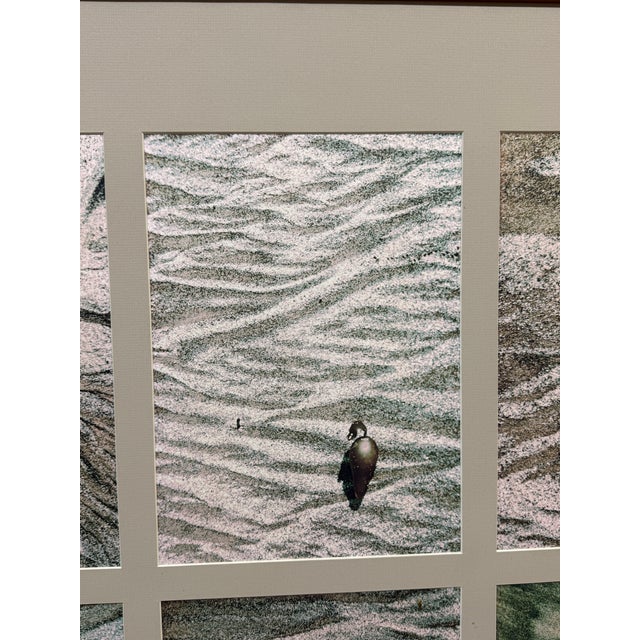 Wood Artisan's Gallery Photographic Tiles of Muir Beach, Framed For Sale - Image 7 of 11