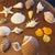 Perfect for coastal decor, Hollywood Regency accents, or elegant display under a glass cloche, this collection brings...
