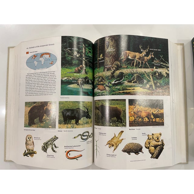 Vintage World Book Encyclopedia Set - Green Binding Gilt Edges 1989 For Sale - Image 12 of 12