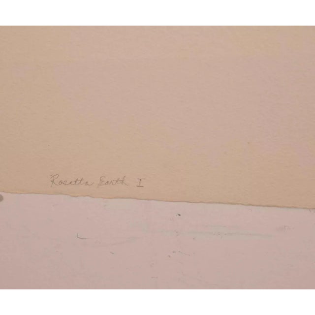 Postmodern Helen Bershad Rosetta Earth I Diptych Signed Postmodern Pastels 1978 Unframed For Sale - Image 3 of 12