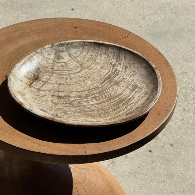 Gray Light Grey Petrified Wood Trinket Tray or Dish with Rings, 1980s For Sale - Image 8 of 9