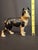 Offered is an authentic, highly coveted antique cast iron "Still" coin bank manufactured by Vindex Toys (a division of the...