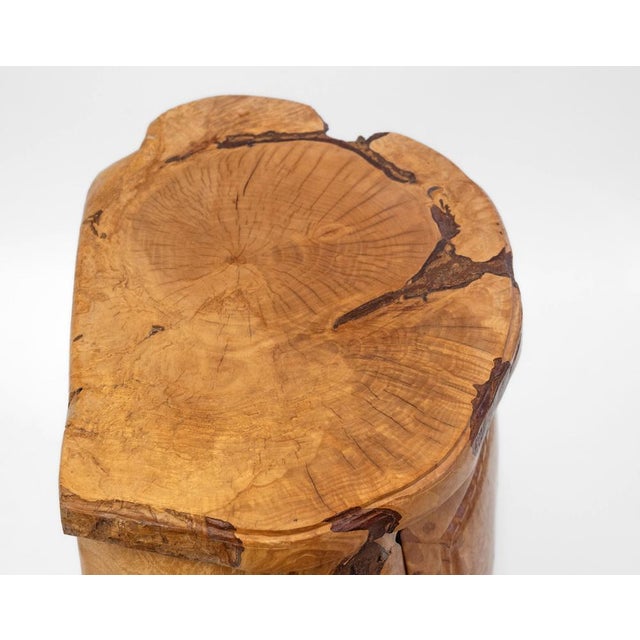 Pierre Decorse Organic Sculptural Olive Burr Wood Wabi Sabi Side Cabinet 2003 For Sale - Image 12 of 15
