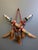 African 1940s-1950s West African Ceremonial Mandinka/Mandingo Swords For Sale - Image 3 of 12