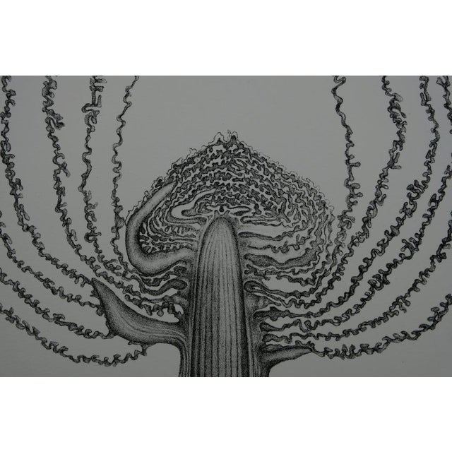 Contemporary Gochka Charewicz, Le chou, Lithograph For Sale - Image 3 of 7