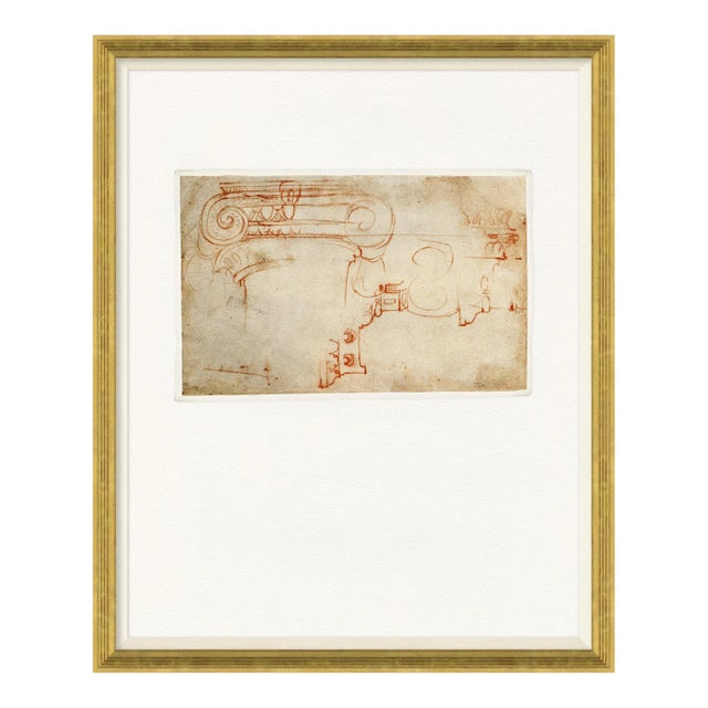 Capital Sketch Framed Art Print by David Phoenix For Sale