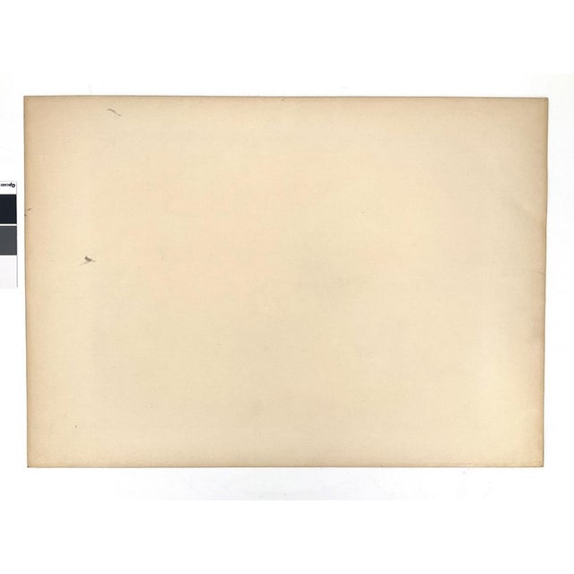 Walter Kalot, Fighting Cocks, 1956, Linocut For Sale - Image 4 of 10