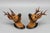 Carved Roe Deer Heads Wall Mounts, Germany, 1930s, Set of 2 For Sale - Image 6 of 18