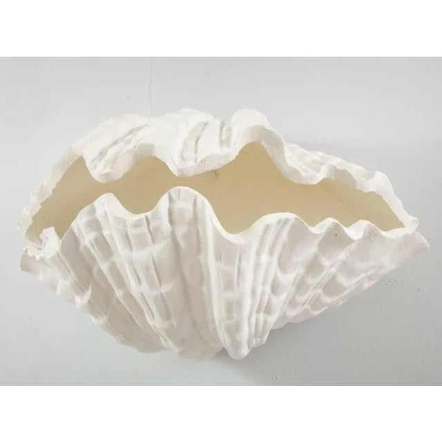 Bespoke Coquillage Plaster Sconces - a Pair For Sale - Image 9 of 10