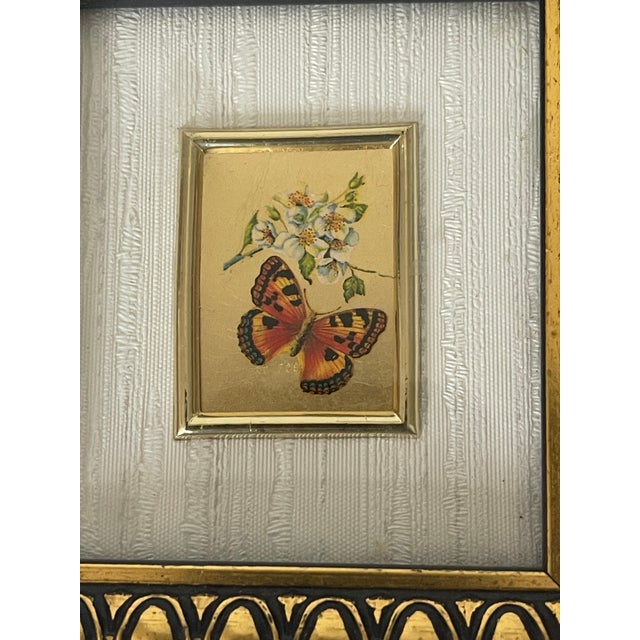 Italian Small 4” by 4” butterfly painting on 23Kt gold leaf . Framed in gold tone profiled frame. Great decor piece or gift.