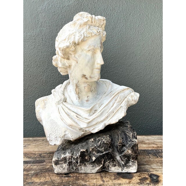 Vintage Cast Stone Bust of Apollo Belvedere For Sale - Image 16 of 18